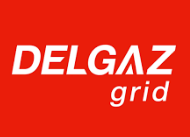 Telefon Delgaz Grid contact clienti sesizari si deranjamente – Ghid rapid si prietenos pentru ajutor imediat